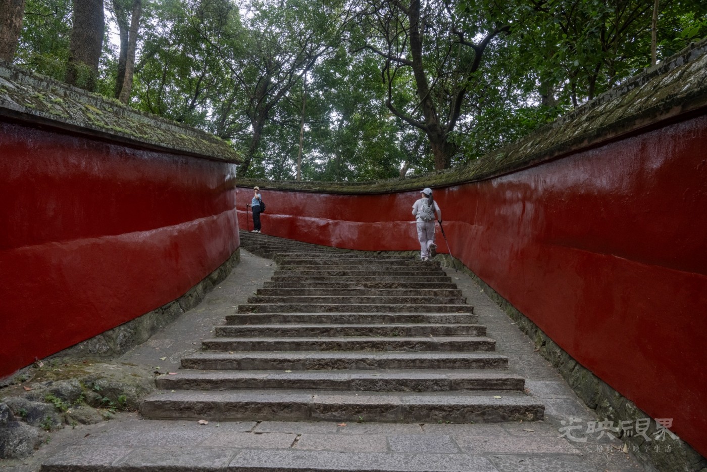 DSC_3423_1.jpg