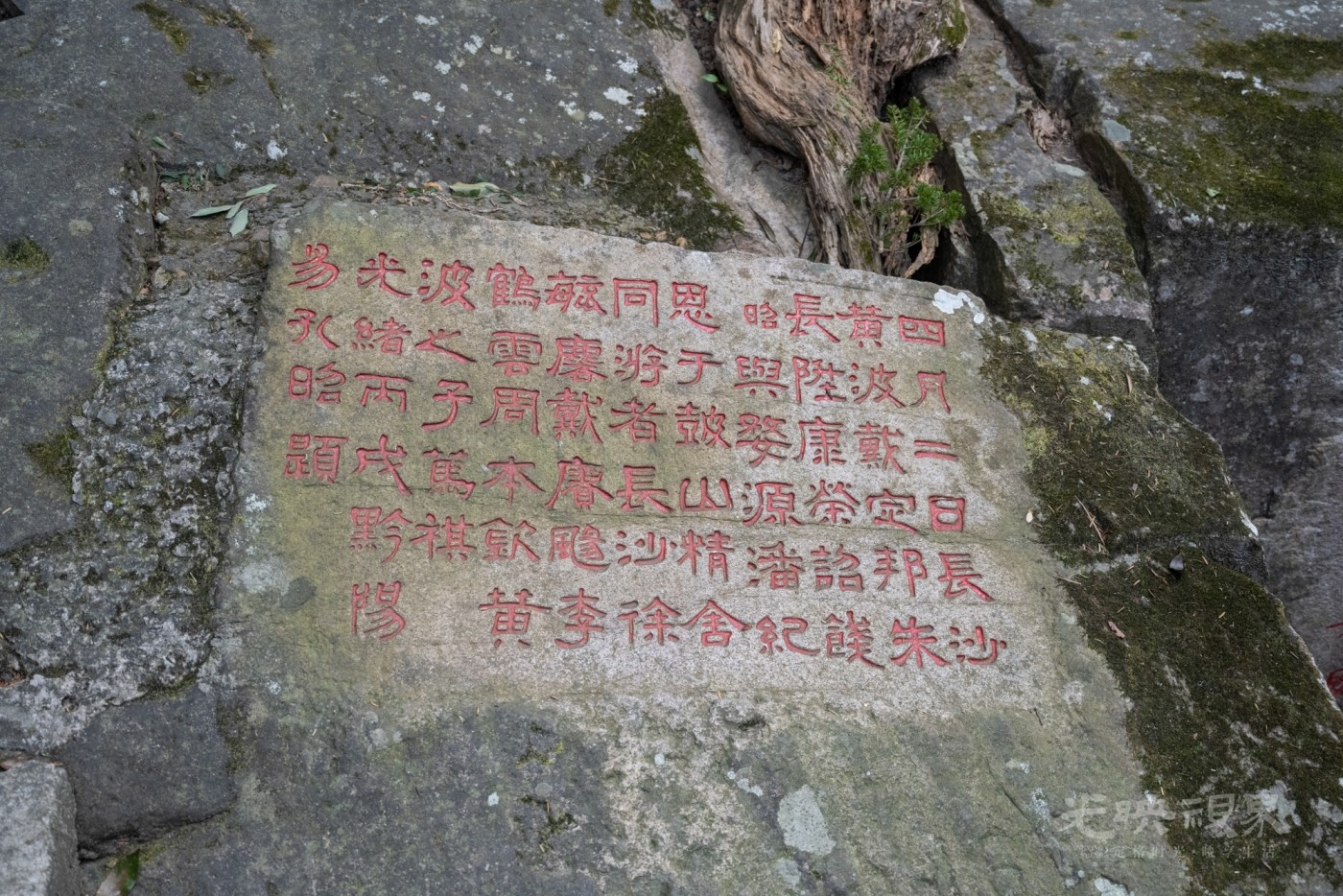 DSC_3432_1.jpg