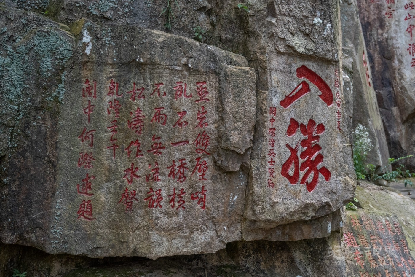 DSC_3440_1.jpg