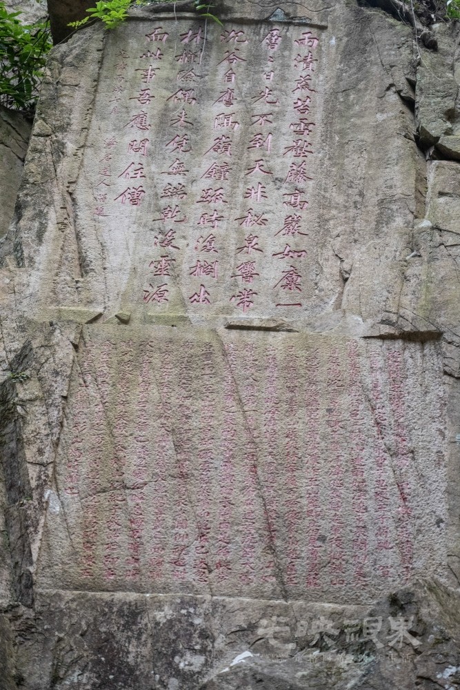 DSC_3445_1.jpg