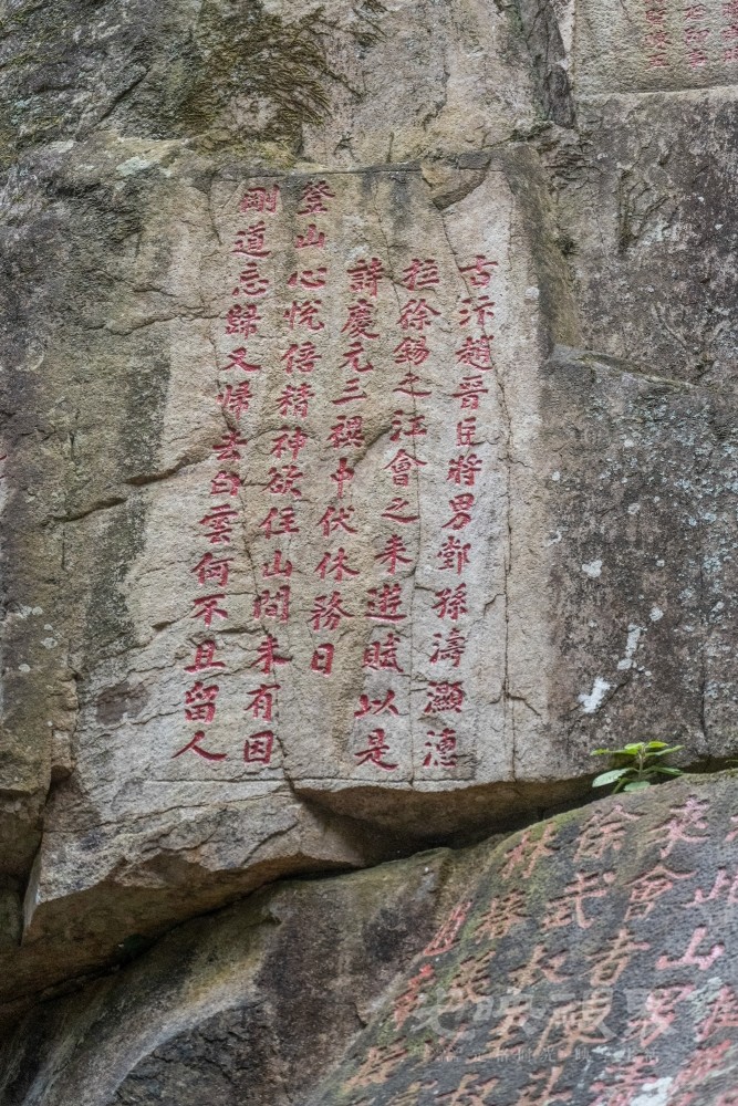 DSC_3446_1.jpg