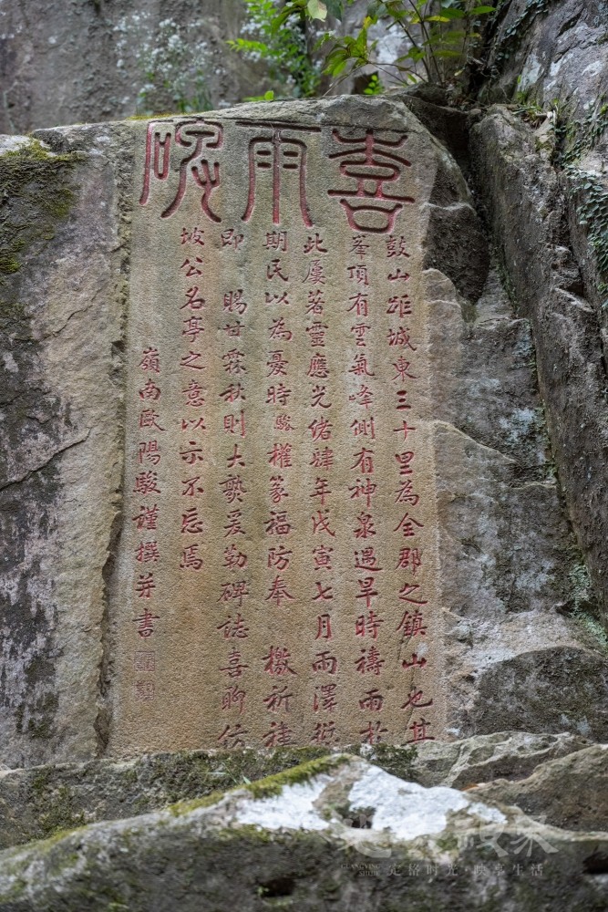 DSC_3449_1.jpg