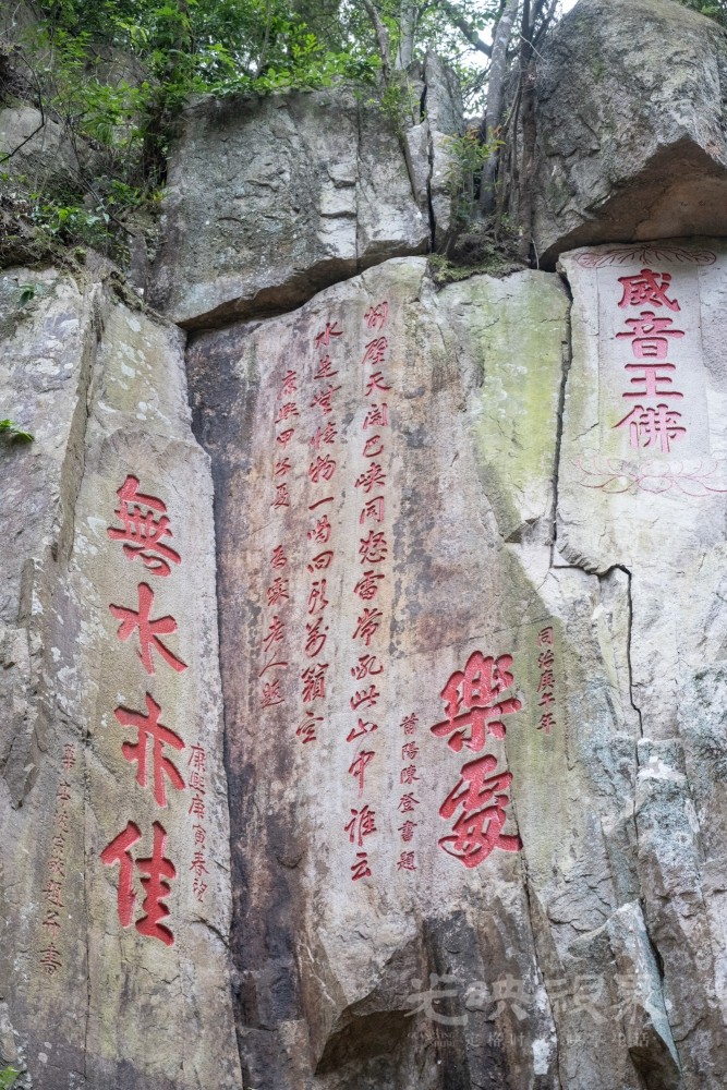 DSC_3450_1.jpg