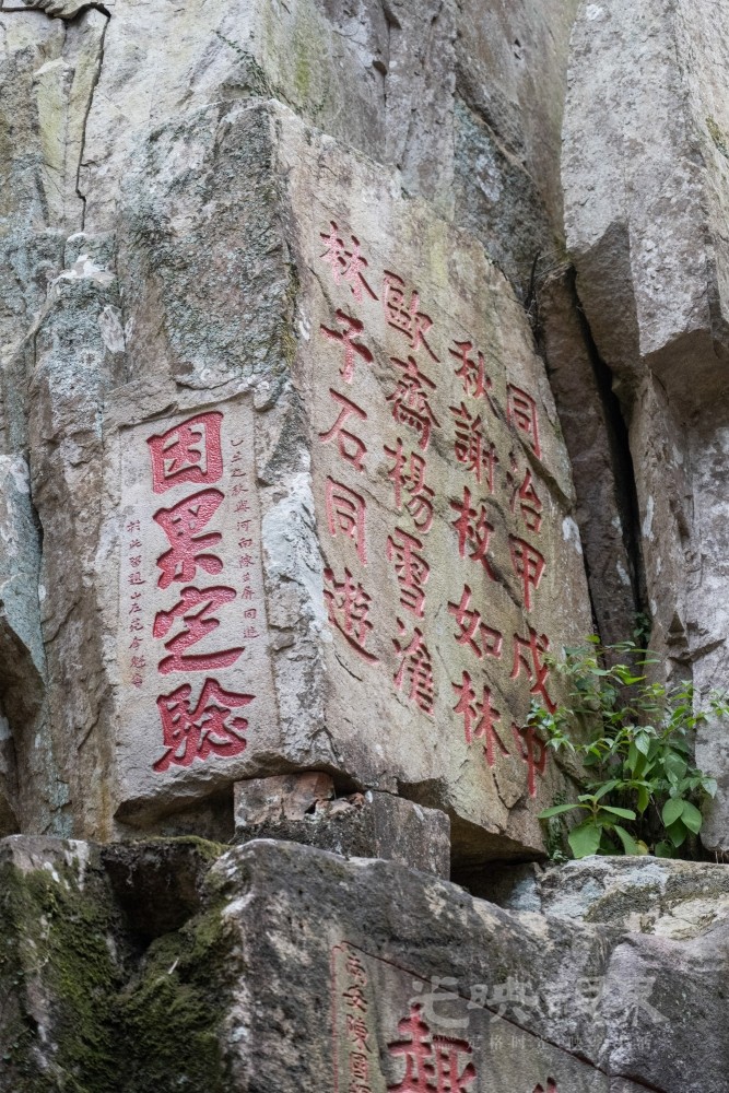 DSC_3451_1.jpg