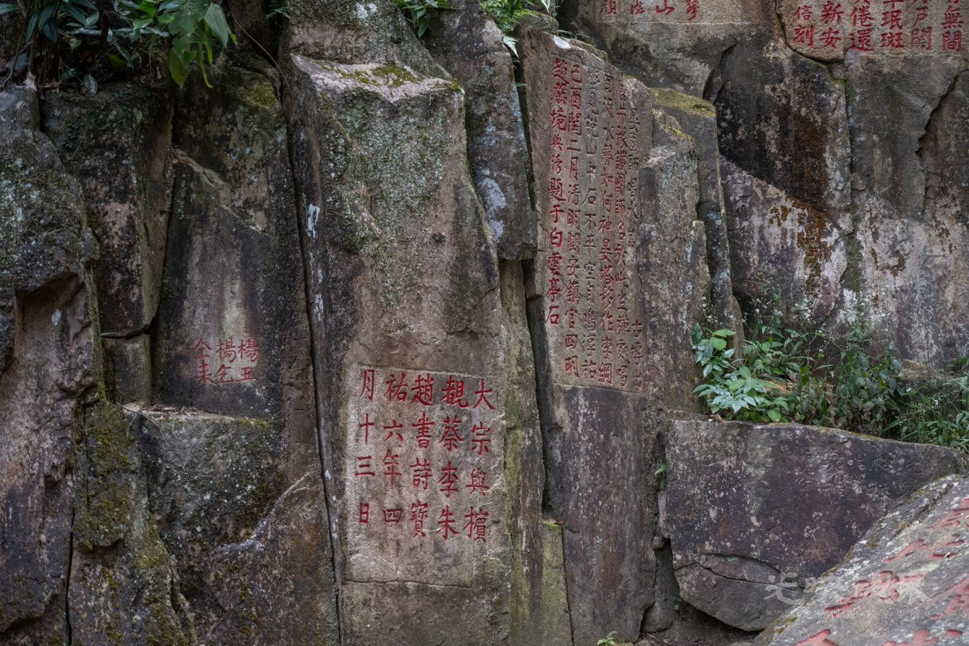 DSC_3456_1.jpg