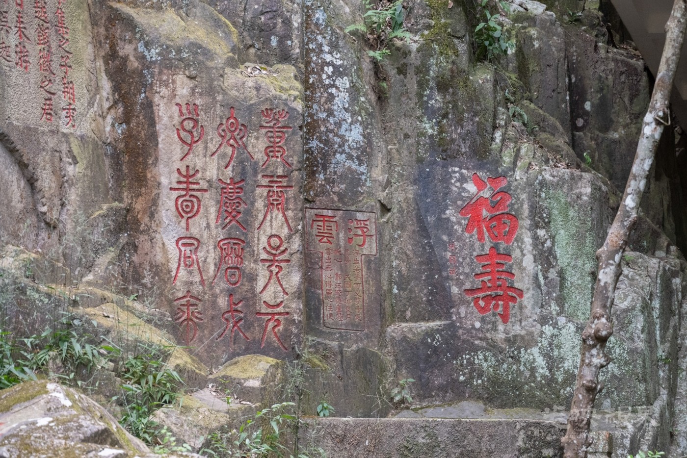 DSC_3458_1.jpg