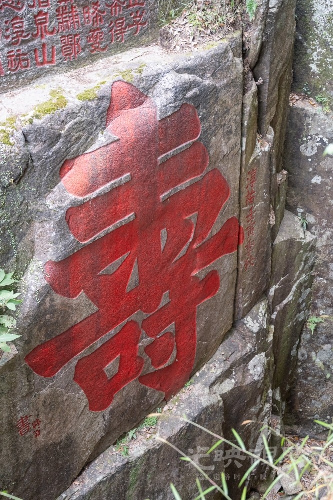 DSC_3461_1.jpg
