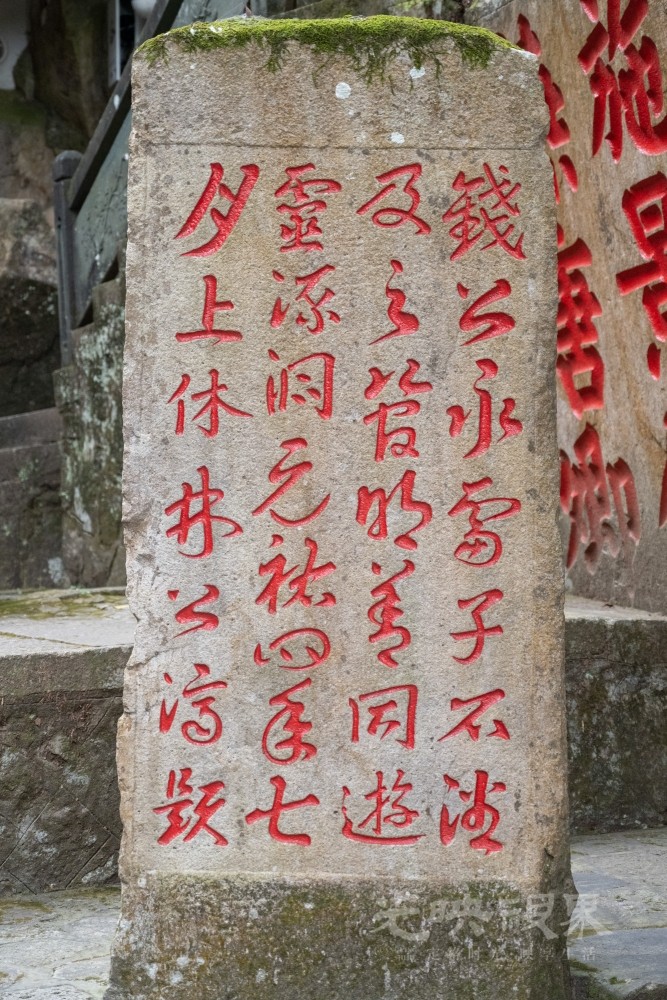 DSC_3460_1.jpg