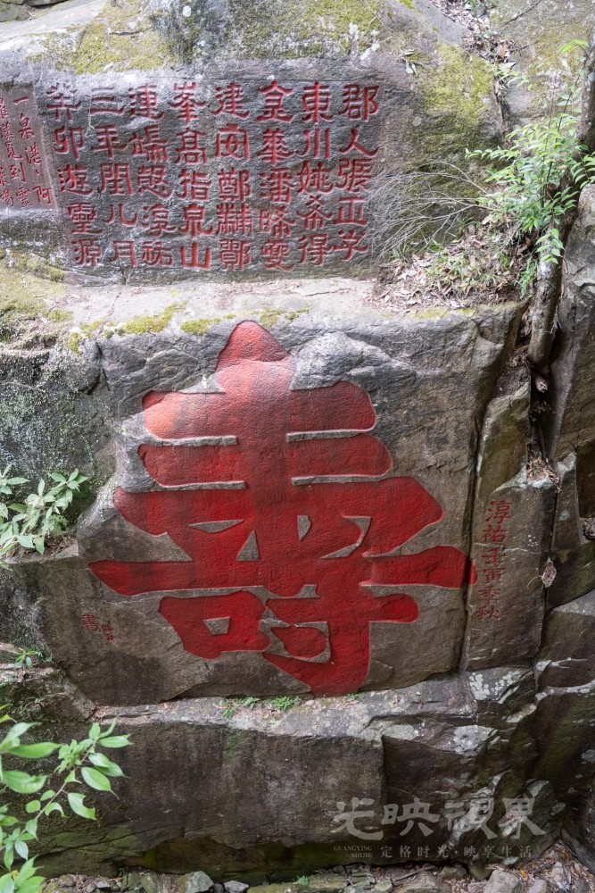 DSC_3463_1.jpg