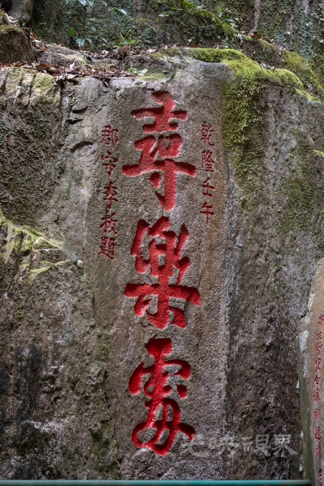 DSC_3471_1.jpg
