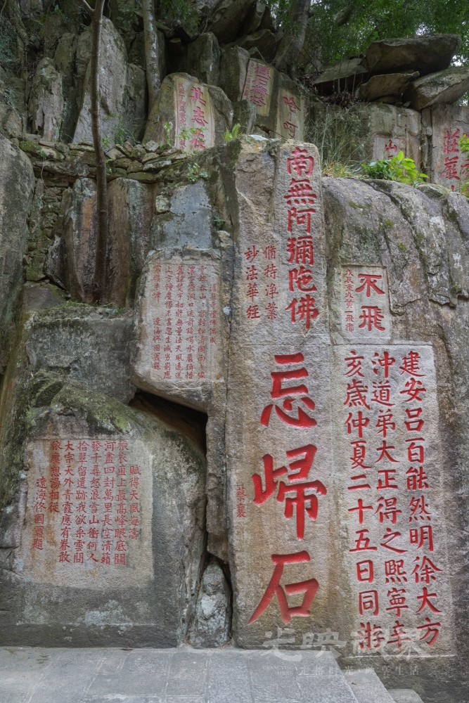 DSC_3481_1.jpg