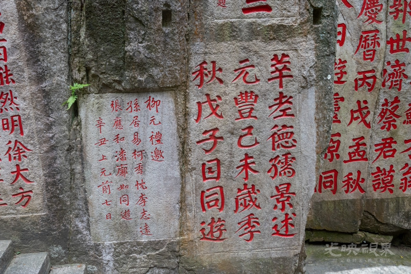 DSC_3485_1.jpg