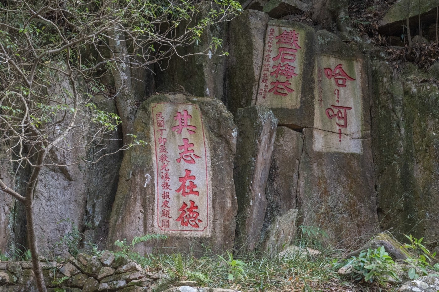 DSC_3486_1.jpg