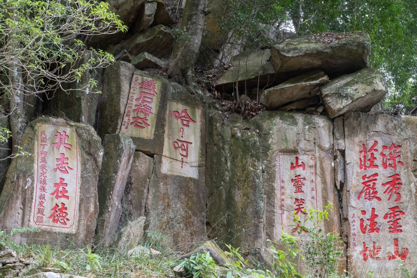 DSC_3487_1.jpg