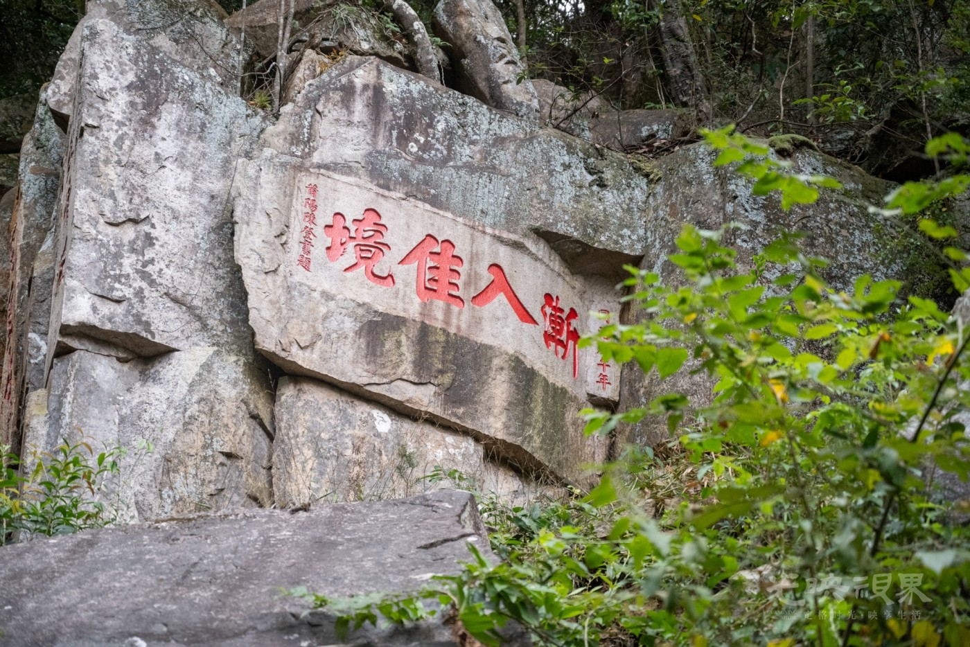 DSC_3502_1.jpg