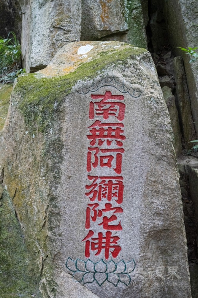 DSC_3504_1.jpg