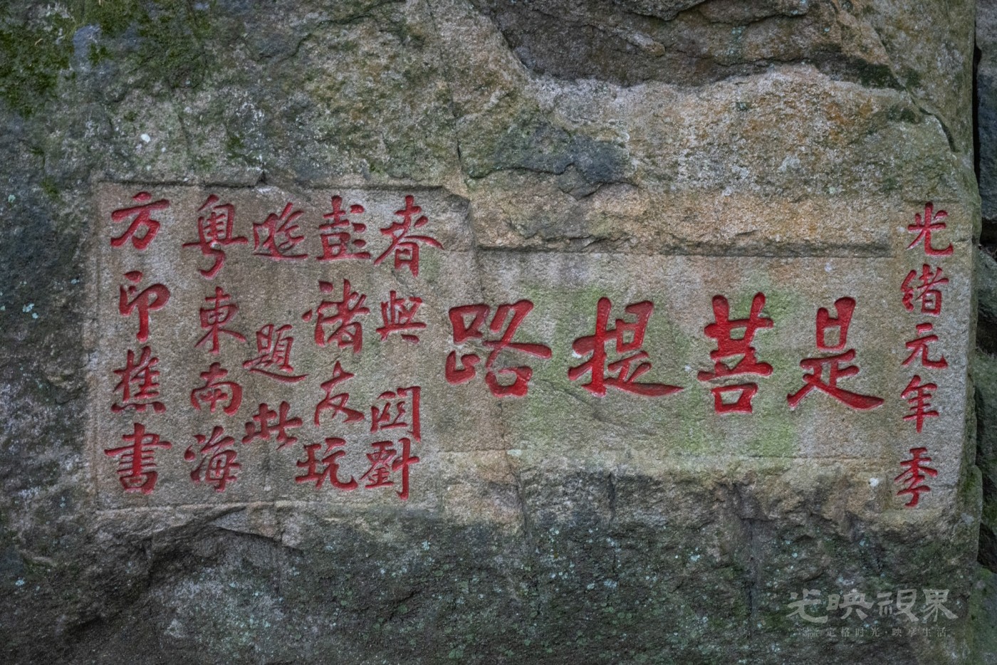 DSC_3503_1.jpg
