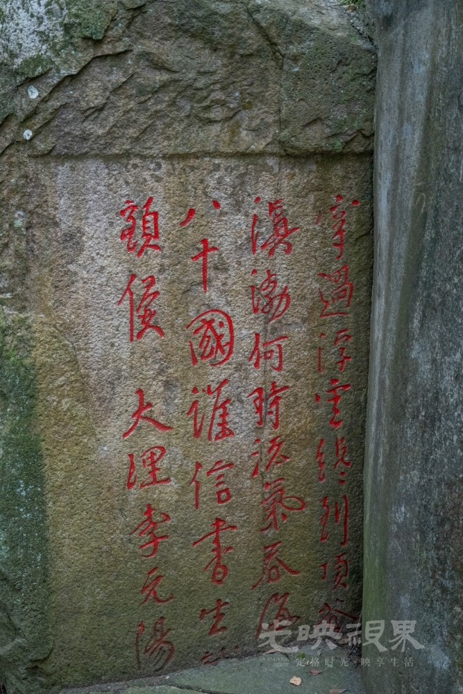DSC_3507_1.jpg
