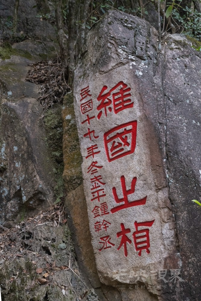 DSC_3513_1.jpg