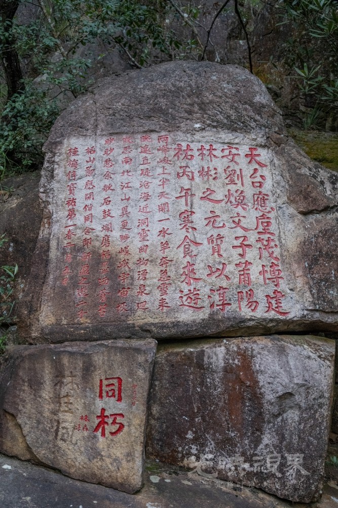 DSC_3517_1.jpg