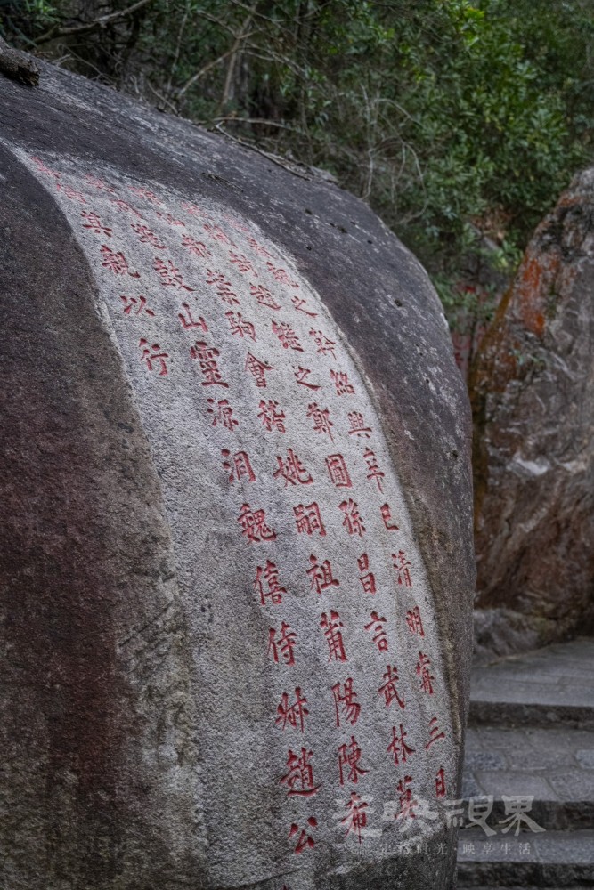 DSC_3522_1.jpg