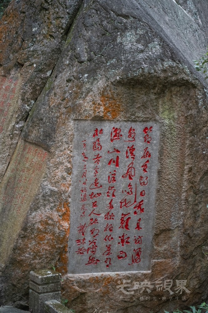 DSC_3523_1.jpg