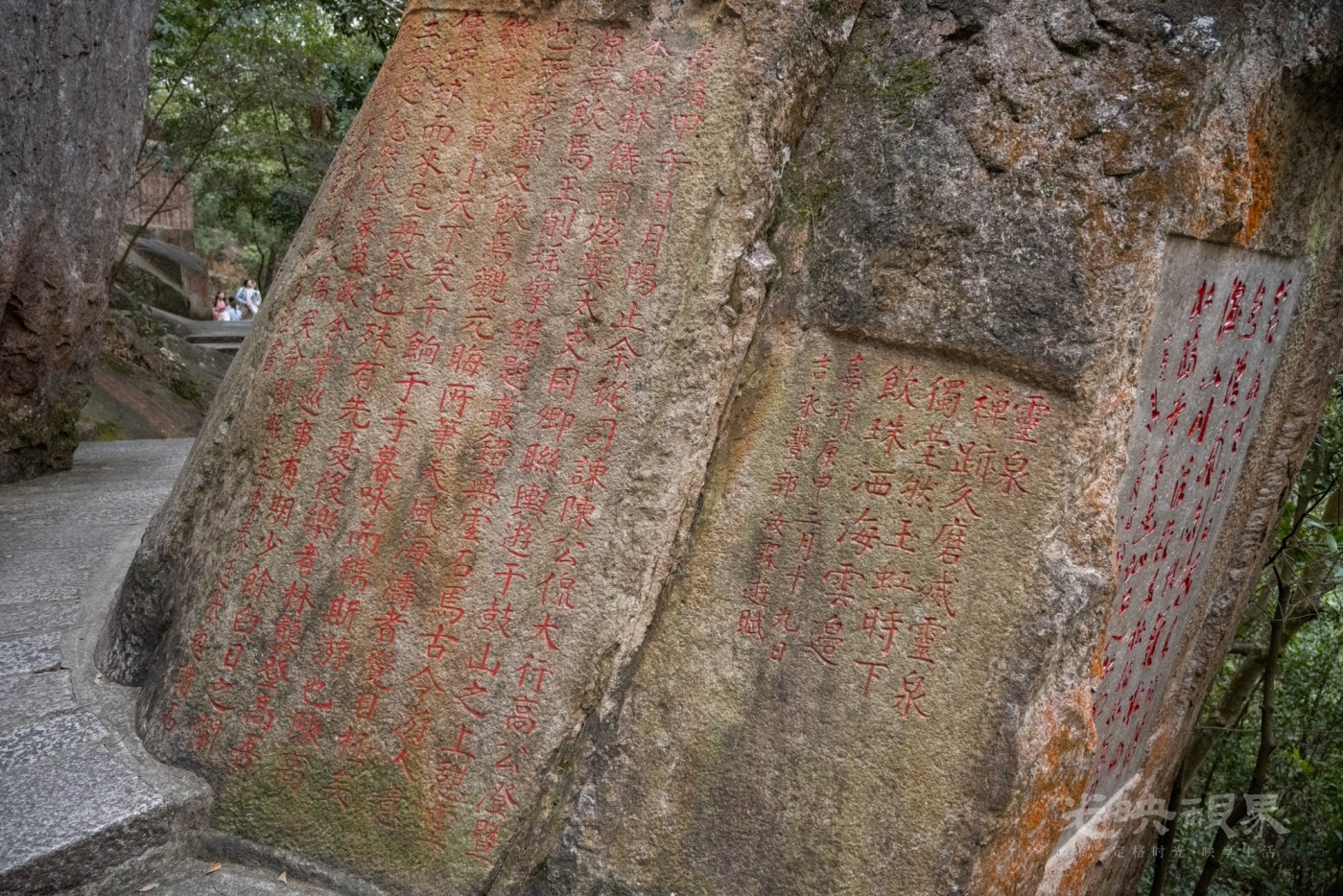 DSC_3526_1.jpg