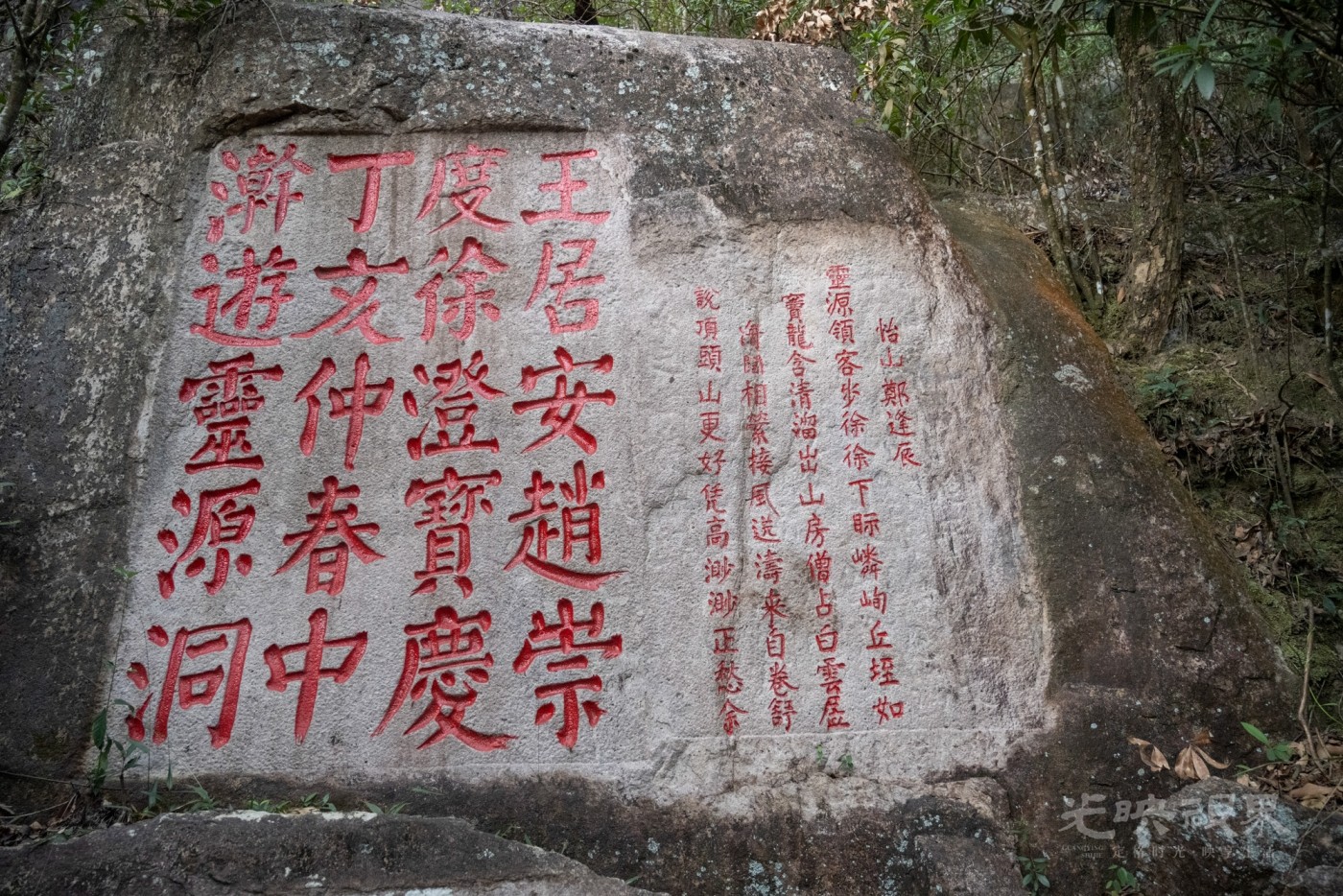 DSC_3530_1.jpg