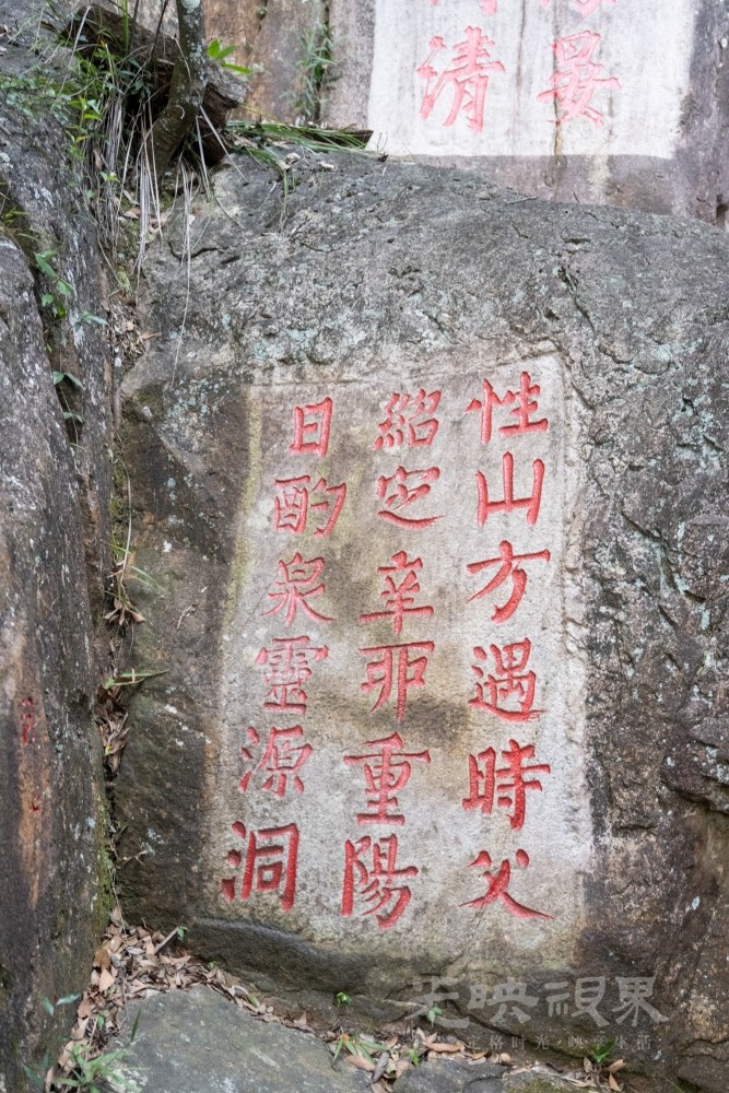 DSC_3536_1.jpg