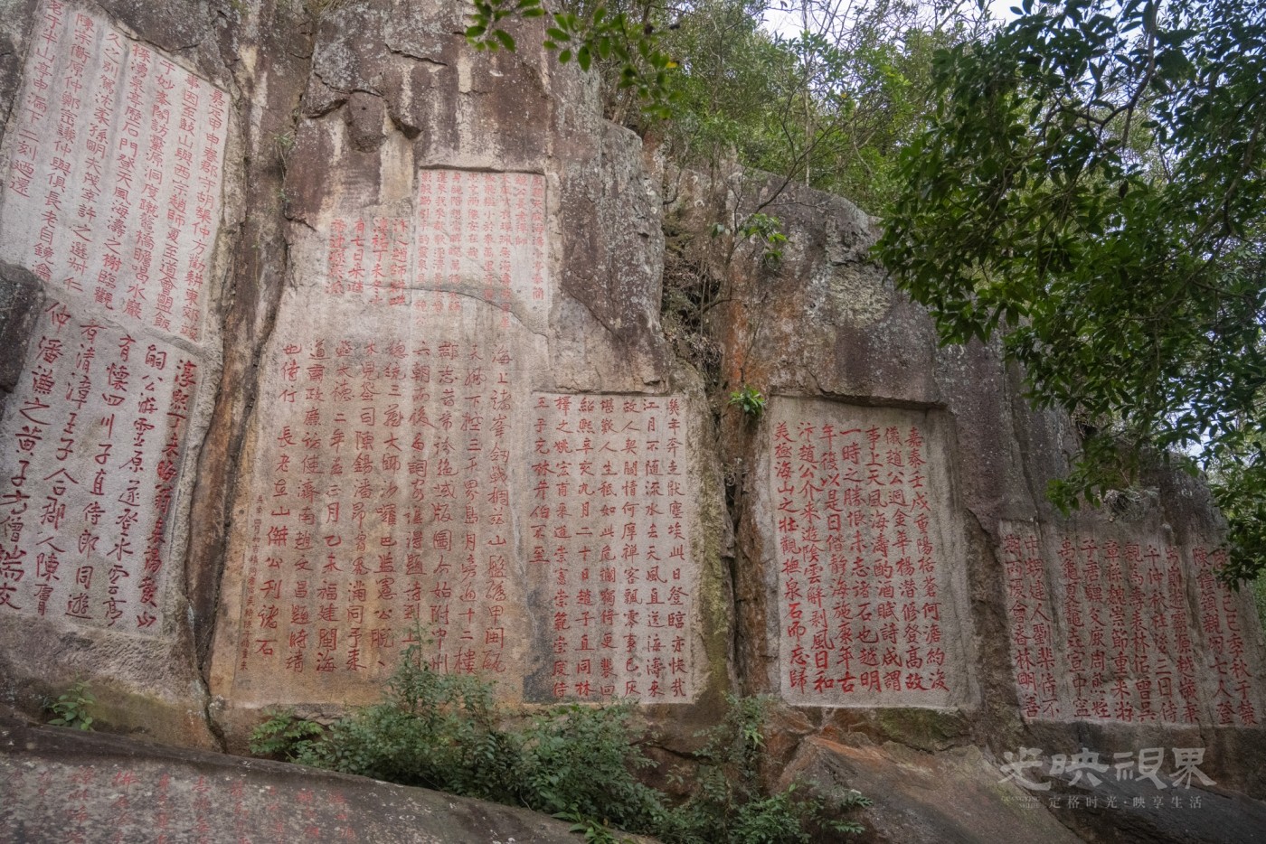 DSC_3537_1.jpg