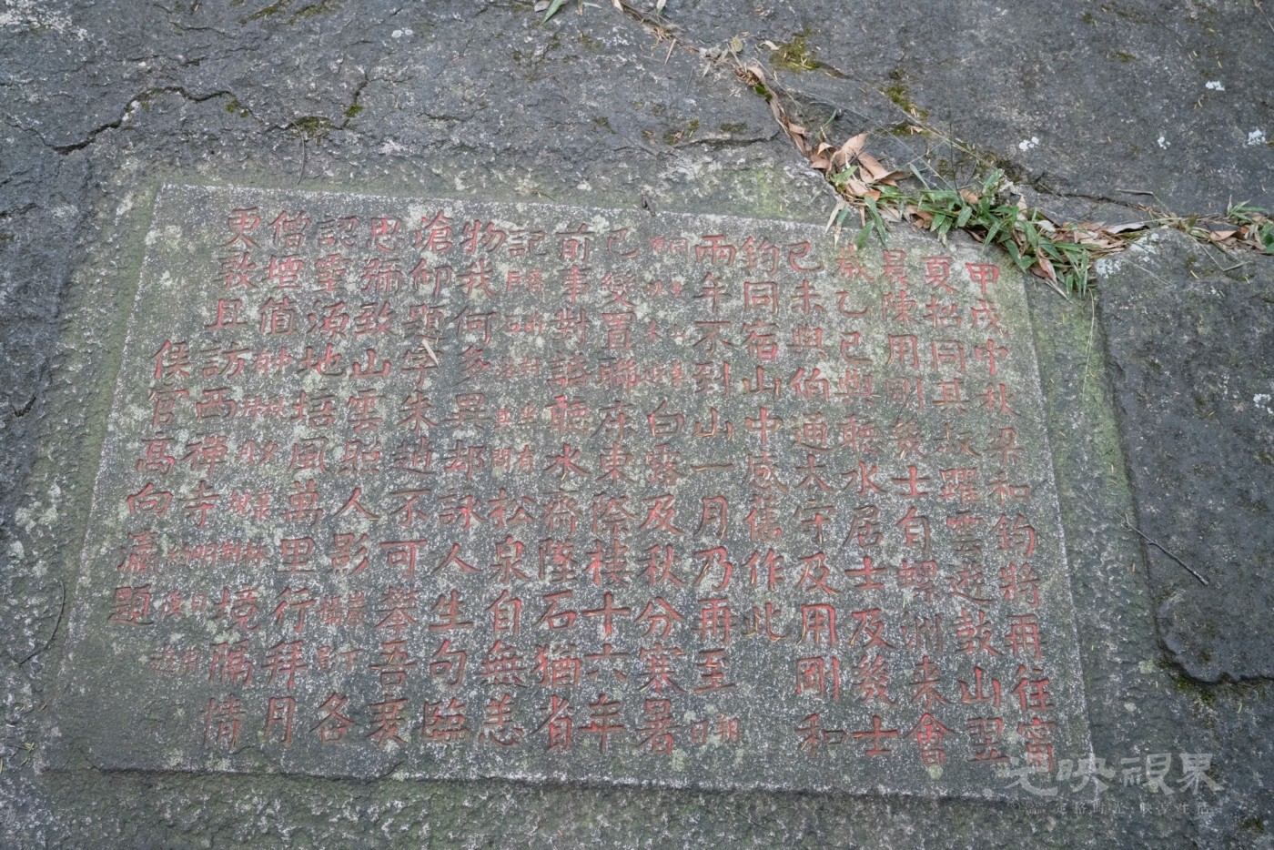 DSC_3538_1.jpg