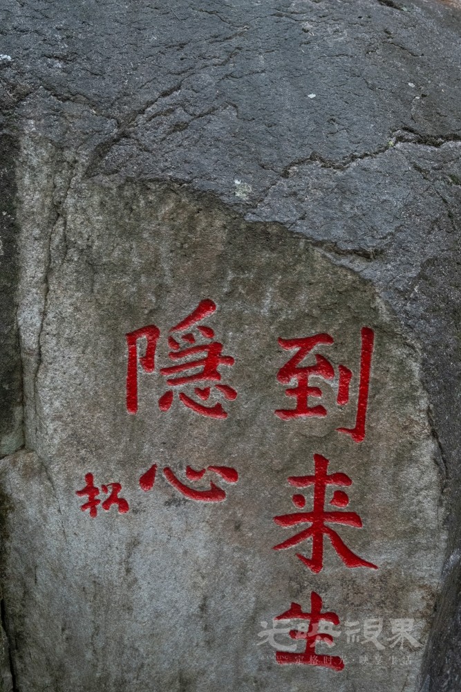 DSC_3540_1.jpg