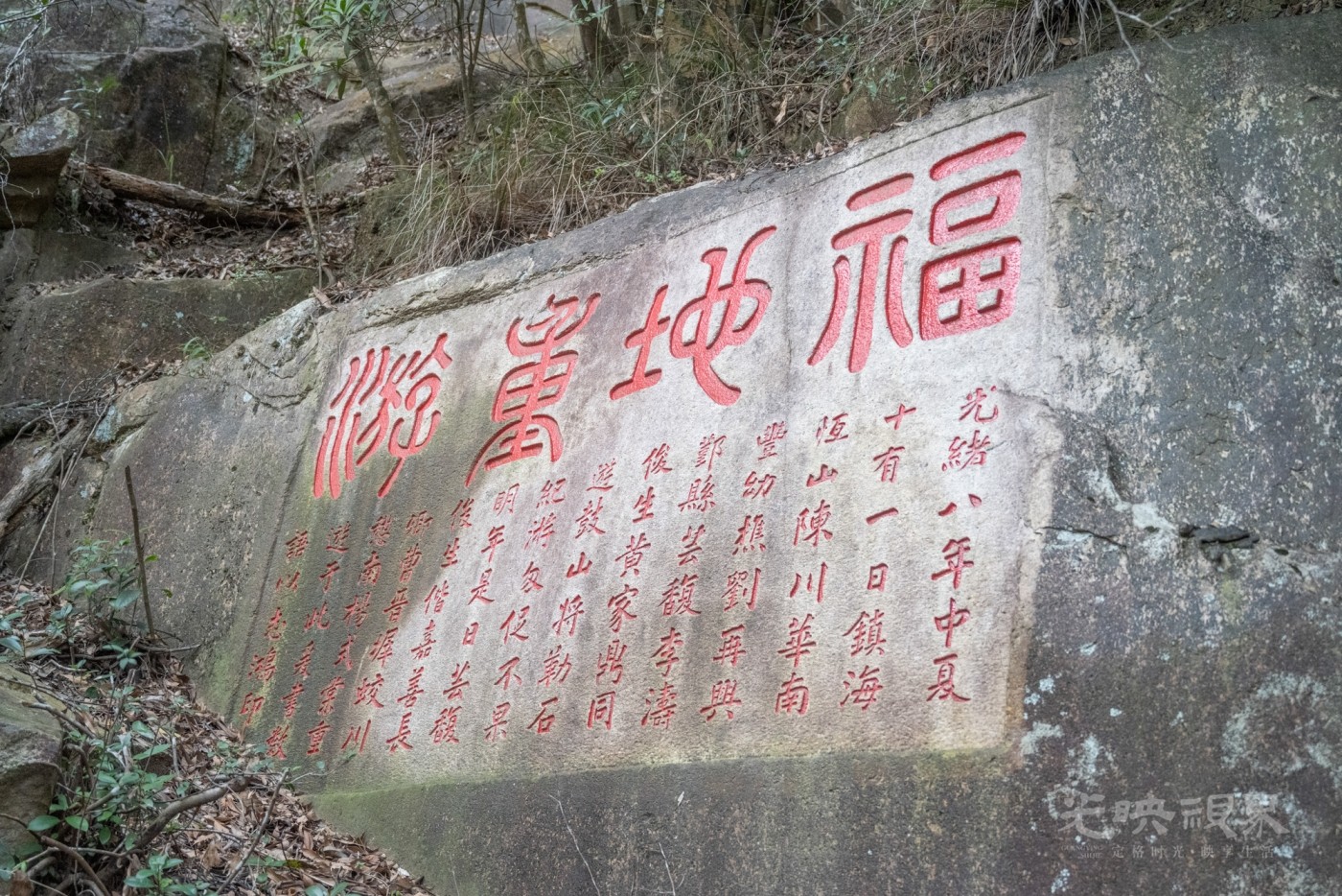 DSC_3542_1.jpg