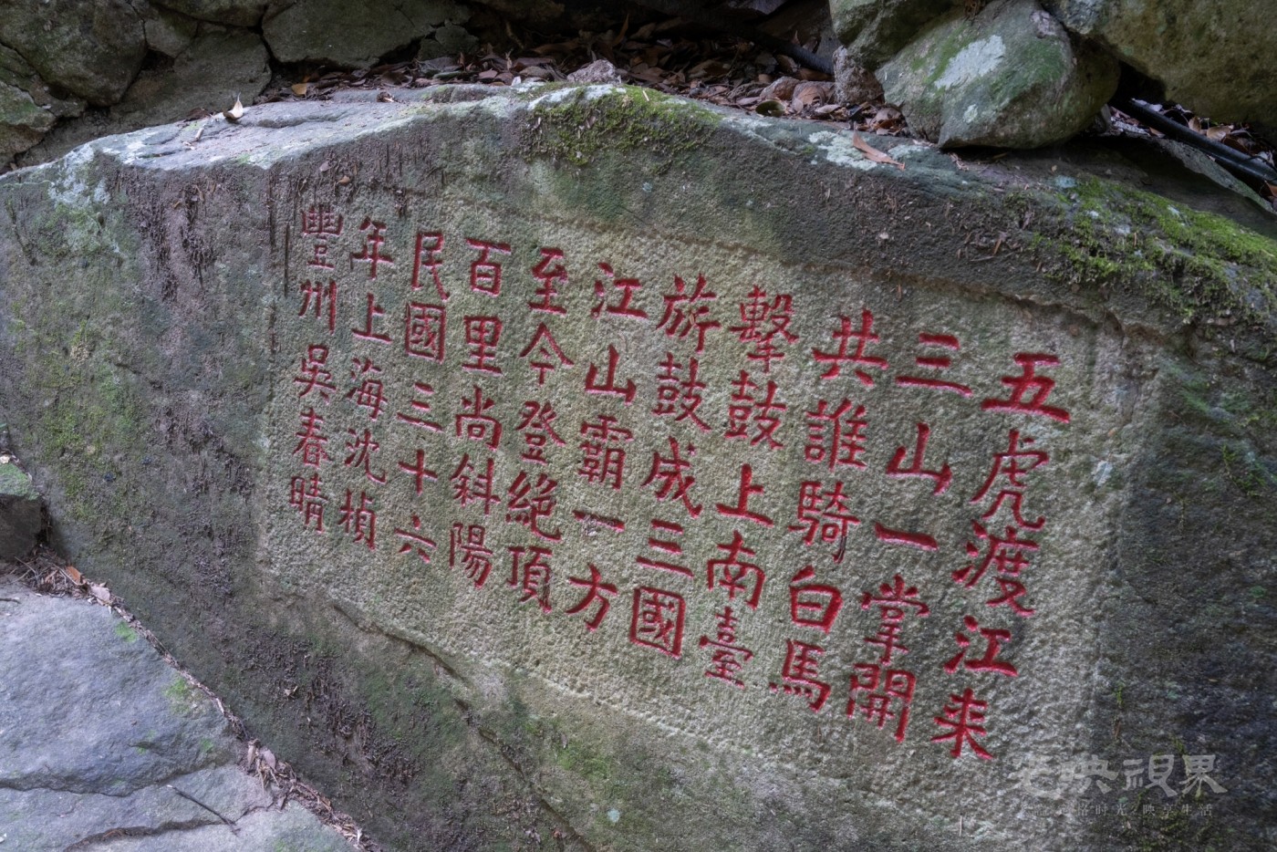 DSC_3565_1.jpg