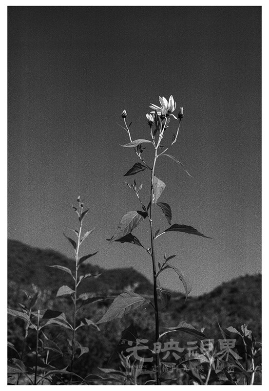 Untitled (56).jpg