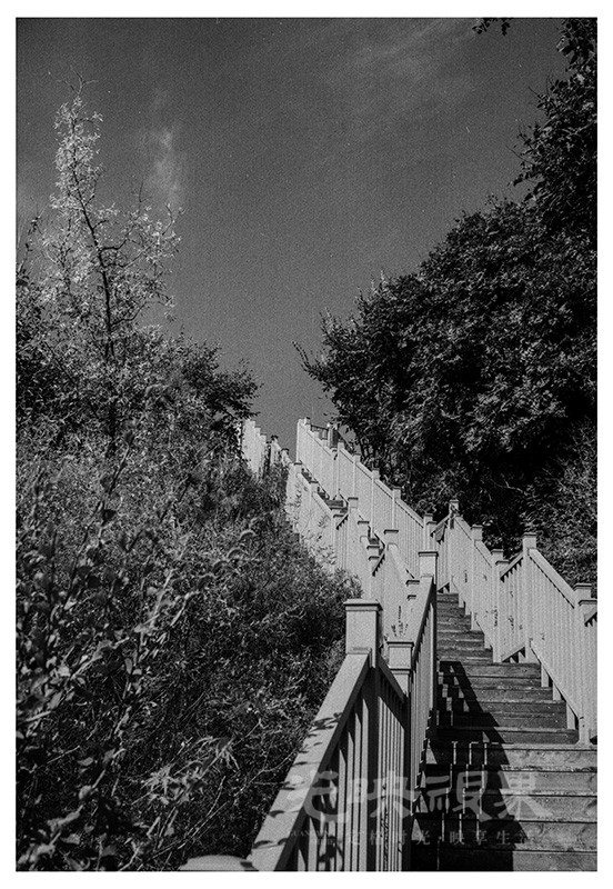 Untitled (52).jpg
