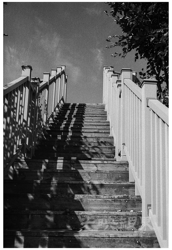 Untitled (54).jpg