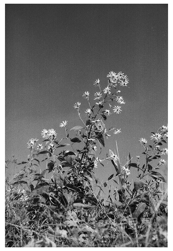 Untitled (49).jpg