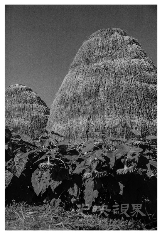 Untitled (57).jpg