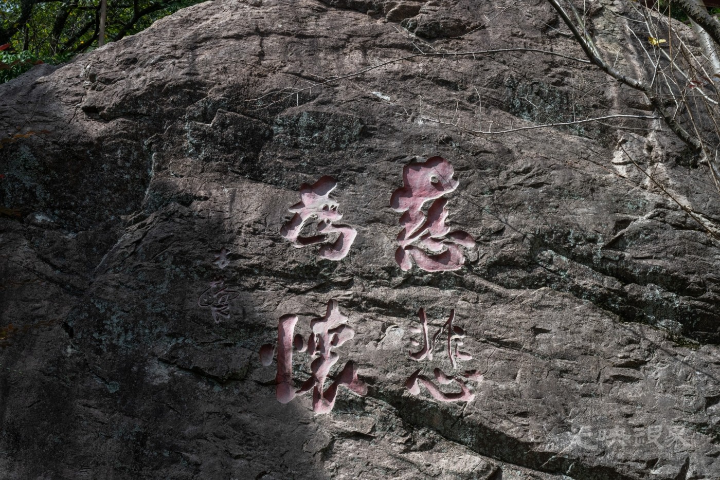 DSC_3179_1.jpg