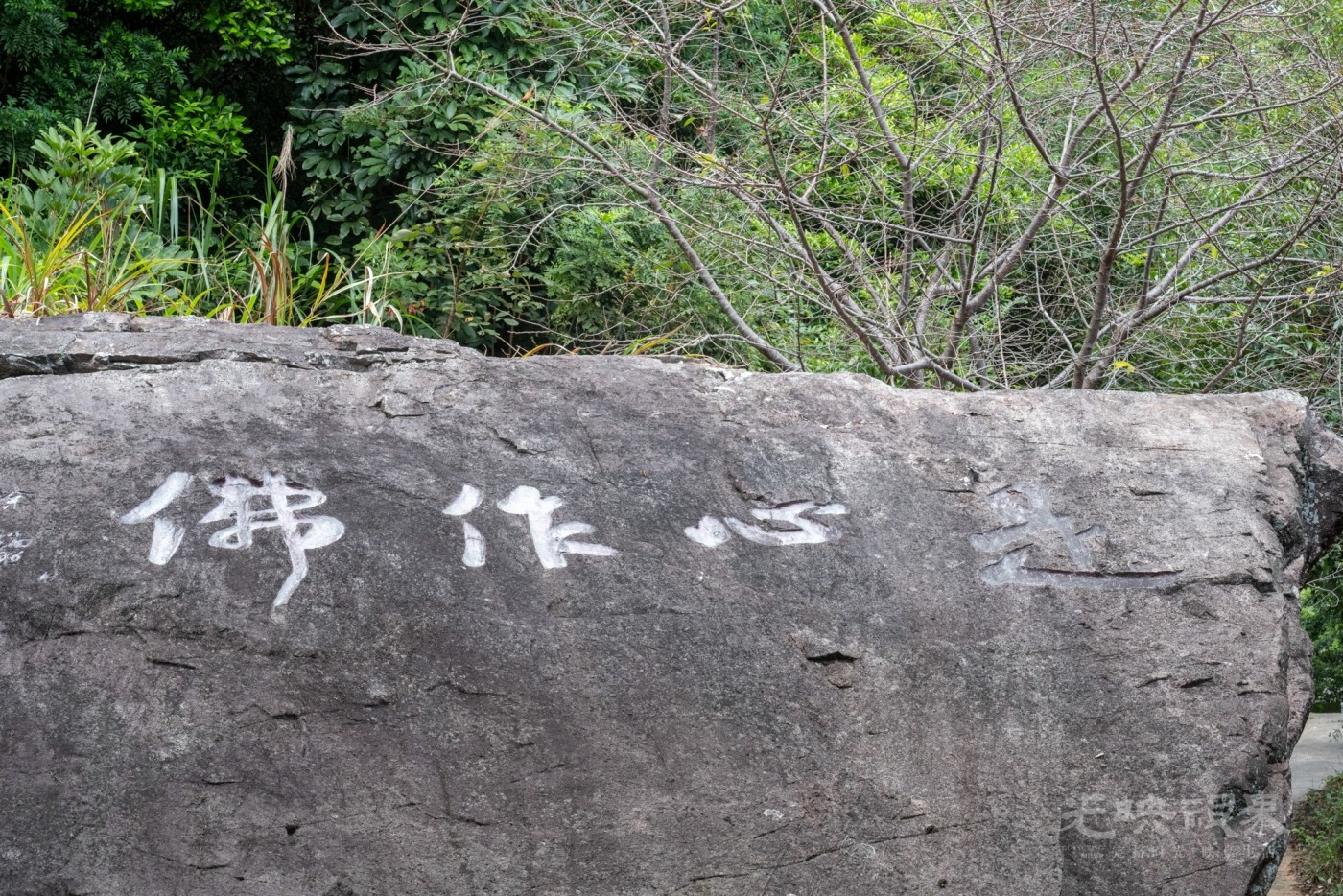 DSC_3180_1.jpg