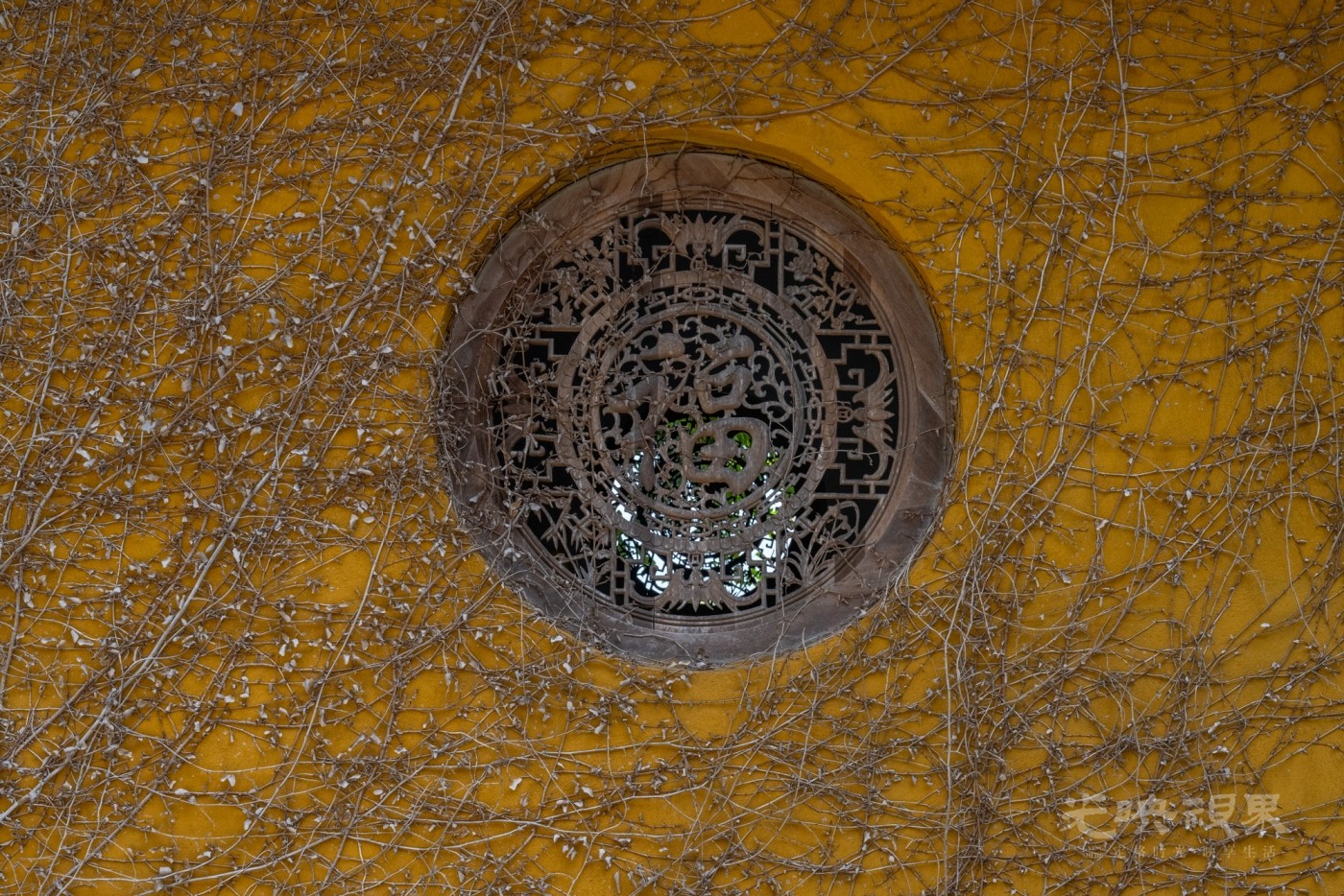 DSC_3182_1.jpg