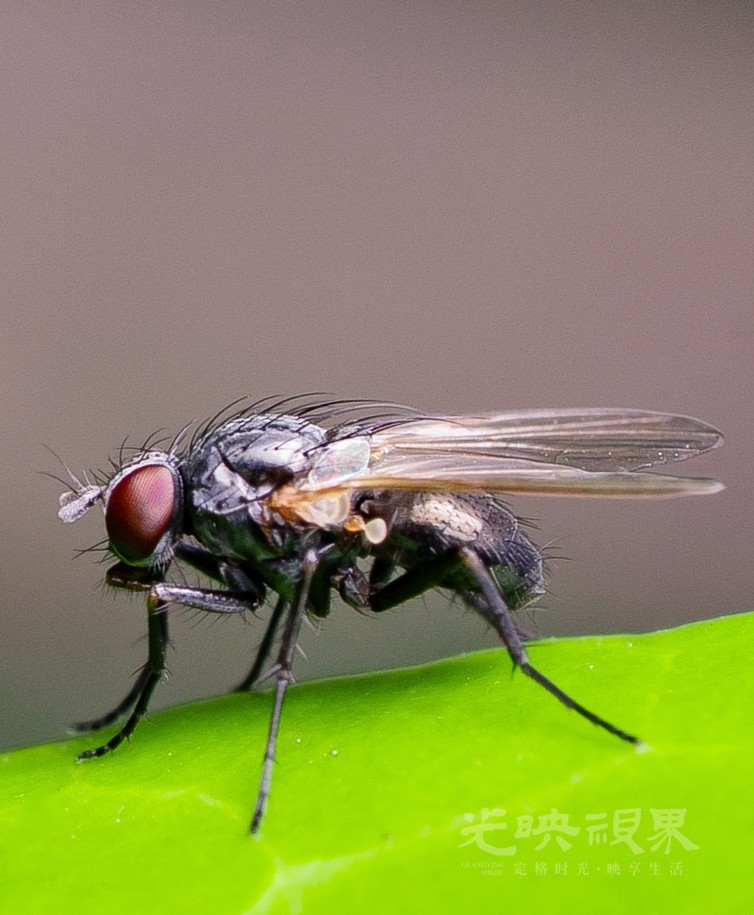 DXA05870.jpg