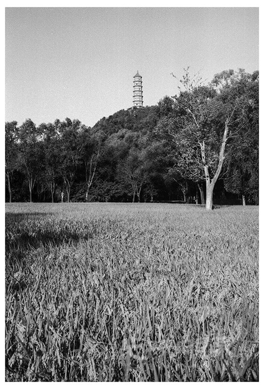Untitled (32).jpg