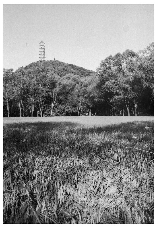 Untitled (31).jpg