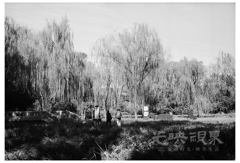 Untitled (19).jpg