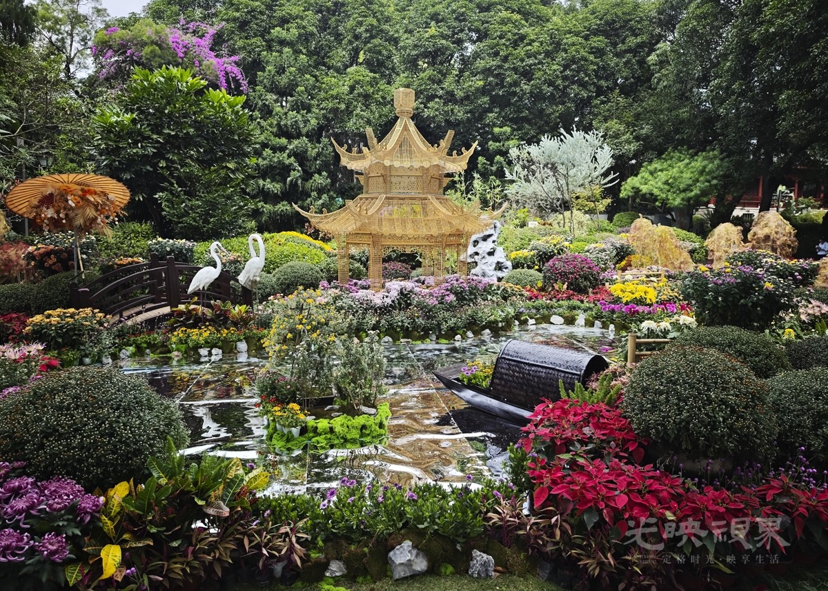 菊展001200.jpg