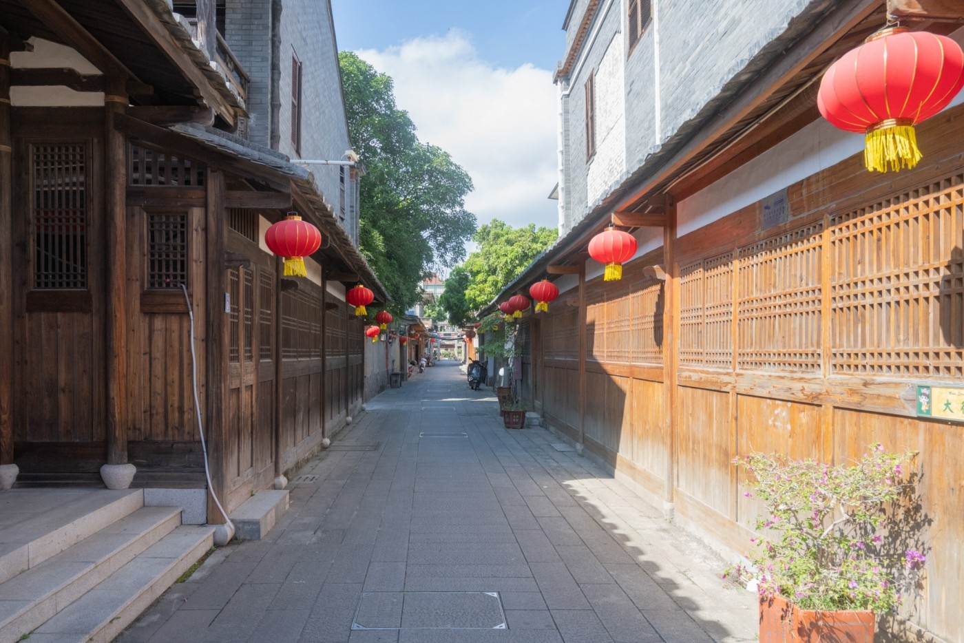 DSC_3205_1.jpg