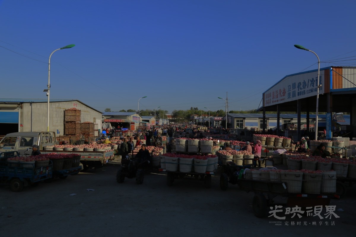 _N7A00811.jpg