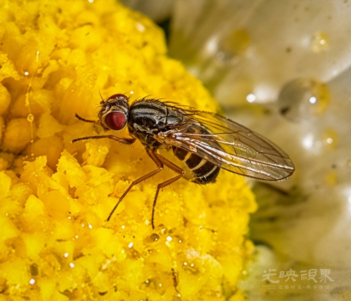 DX3_0488.jpg
